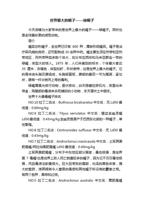 世界最大的蝎子——绿蝎子
