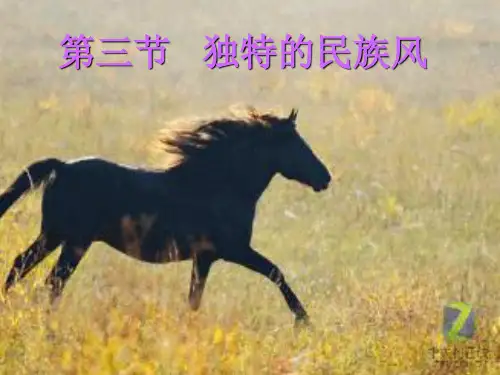 新人音版音乐必修一 第三节 独特的民族风(共19张PPT)