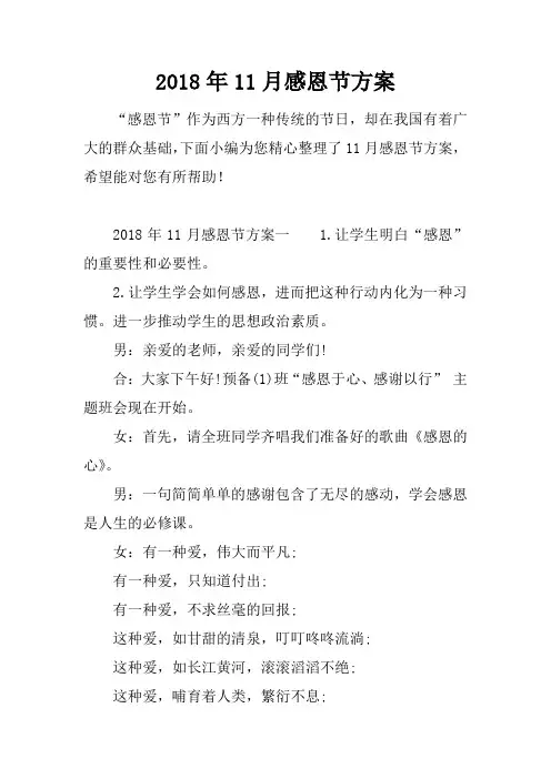 2018年11月感恩节方案