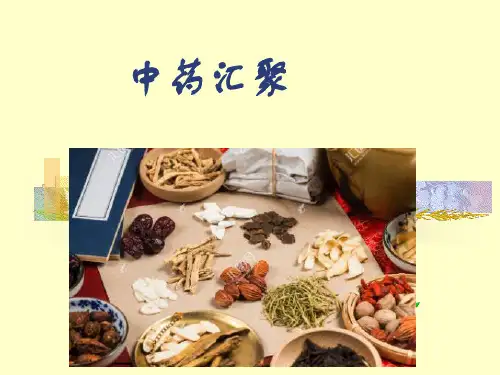 中药大图片