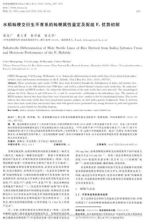 水稻籼粳交衍生不育系的籼粳属性鉴定及配组F_1优势初探_陈深广