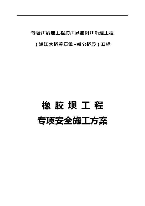 橡胶坝工程专项安全施工组织方案