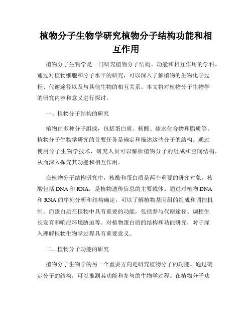 植物分子生物学研究植物分子结构功能和相互作用