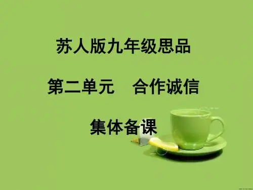 苏教版思品九年第十课《走共同富裕之路》ppt课件