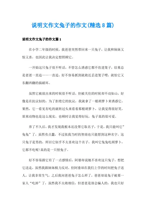 说明文作文兔子的作文(精选8篇)