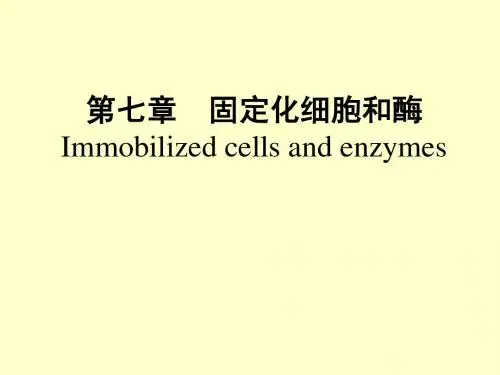 生化工程 第七章 1固定化细胞和酶1