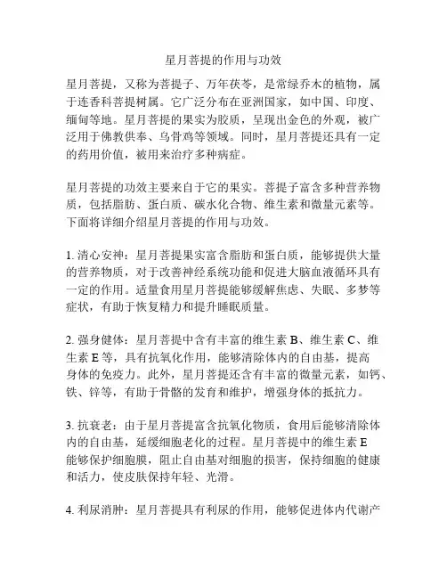 星月菩提的作用与功效