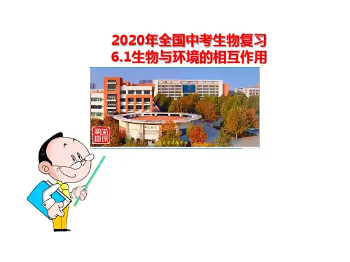 6.1 生物与环境的相互作用2020年济南版中考生物复习课件：八下(共30张PPT)