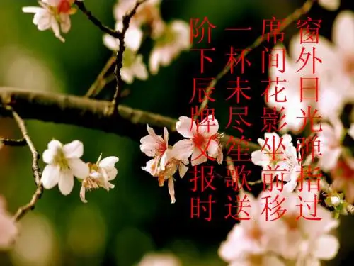 分式的基本性质