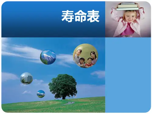 寿命表PPT