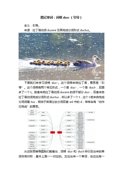 图记单词：词根duc-（引导）