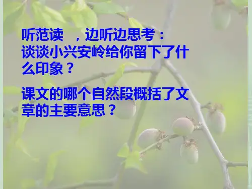 美丽的小兴安岭PPTPPT课件