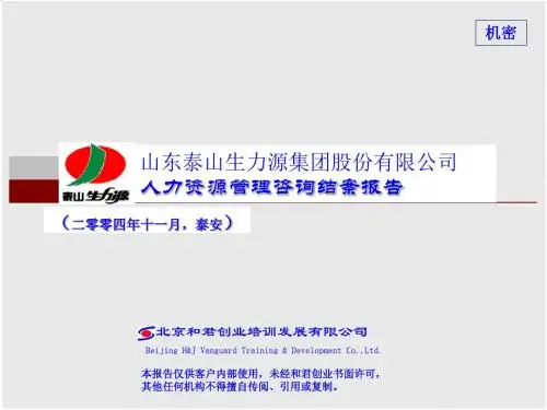 山东某公司人力资源管理咨询结案报告PPT课件( 19页)