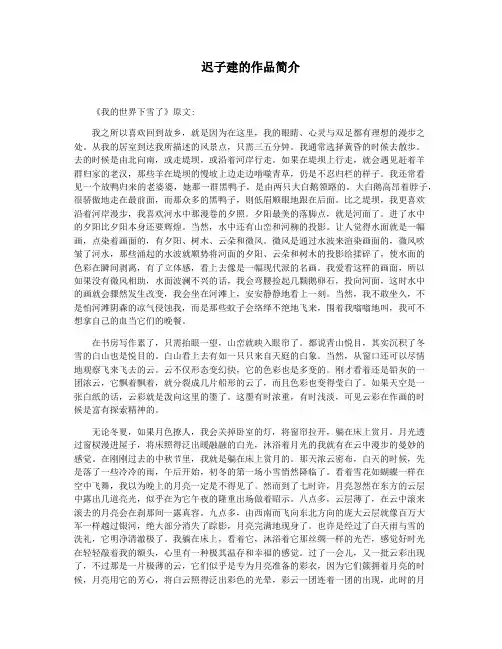 迟子建的作品简介