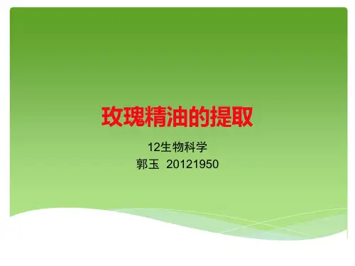 玫瑰精油的提取