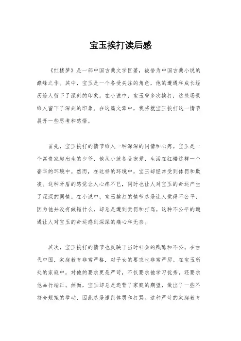 宝玉挨打读后感