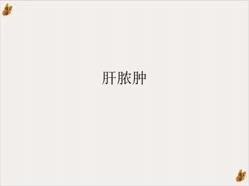 肝脏超声检查纲要PPT公开课(45页)