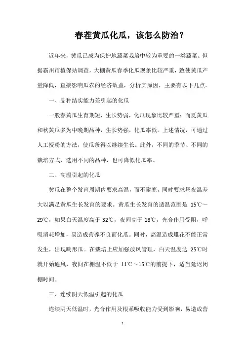 春茬黄瓜化瓜,该怎么防治?