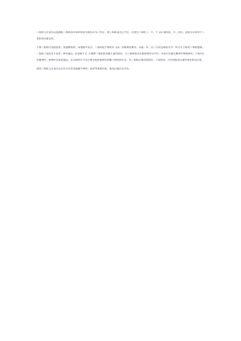 三角肌九区划分法