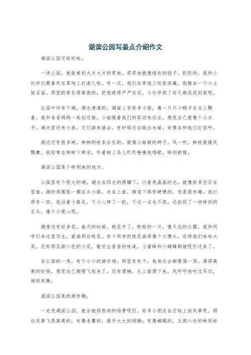 湖滨公园写景点介绍作文