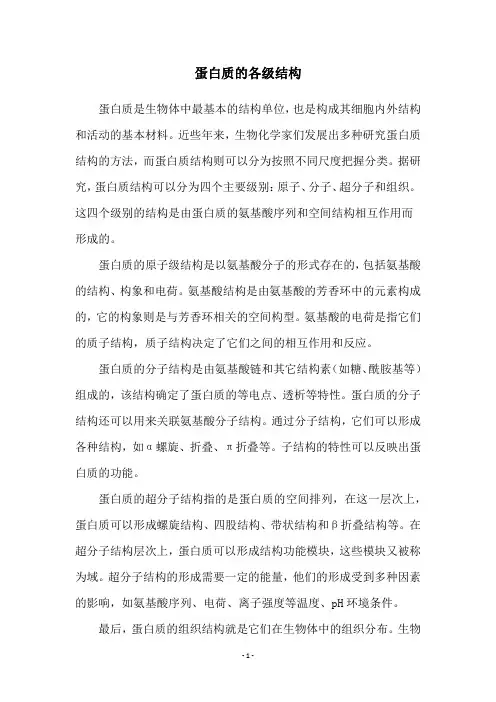 蛋白质的各级结构