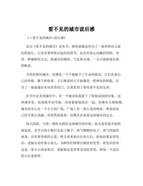 看不见的城市读后感