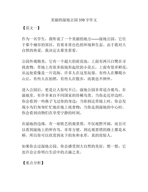 美丽的湿地公园350字作文