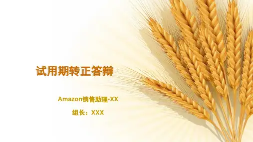 公司员工试用期转正答辩ppt
