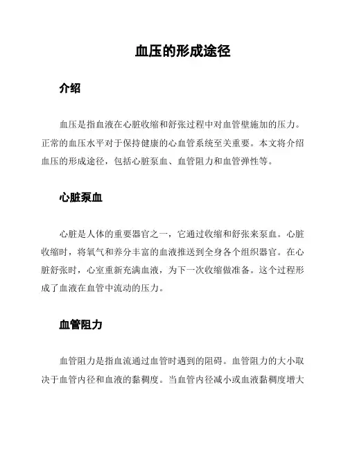 血压的形成途径