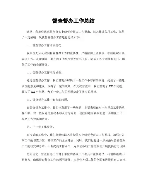 督查督办工作总结