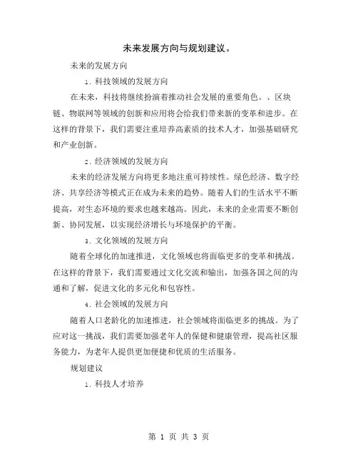 未来发展方向与规划建议