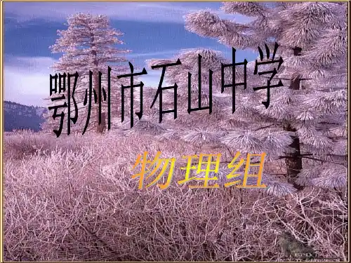 第一节《浮力》ppt课件
