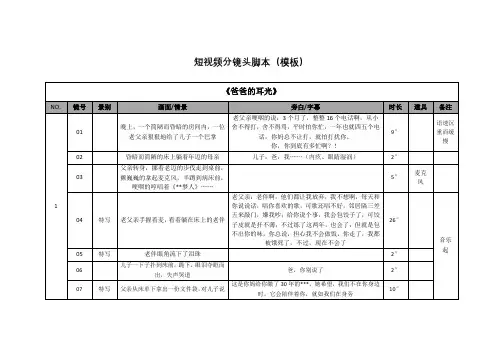 短视频分镜头脚本(模板)