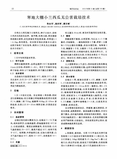 寒地大棚小兰西瓜无公害栽培技术