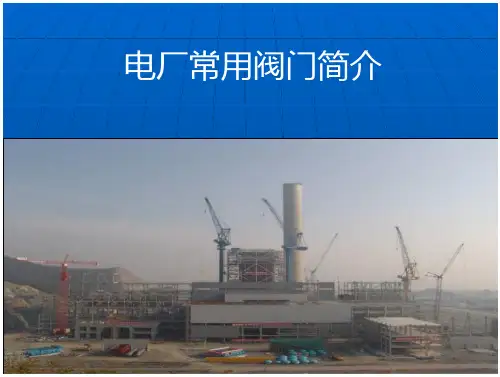 国内电厂常用阀门简介