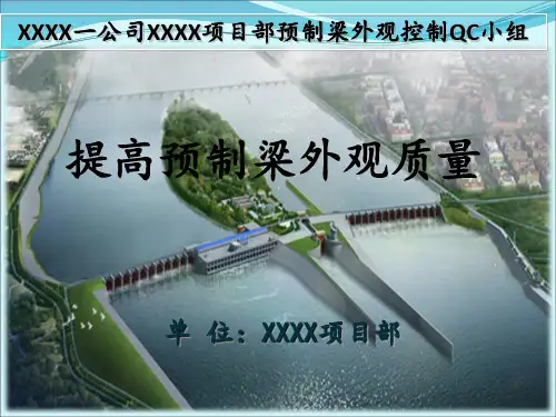提高预制梁外观质量QC成果