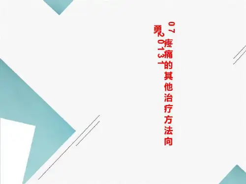 07疼痛的其他治疗方法向勇20131