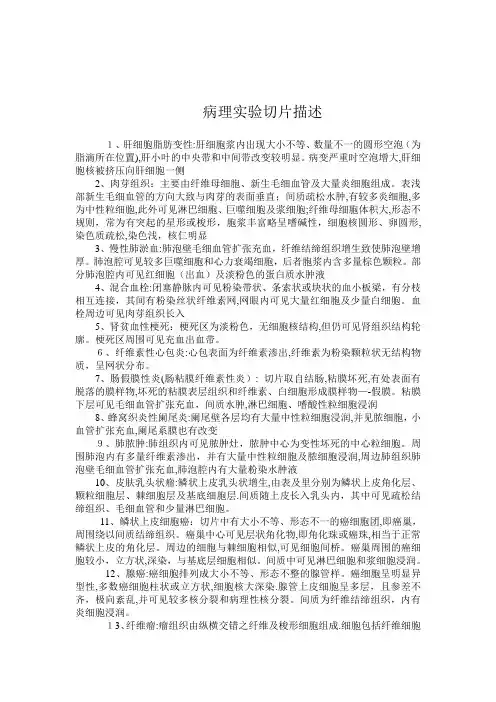 病理实验切片描述(书版)【范本模板】