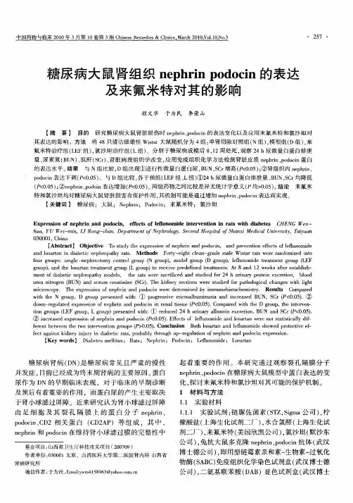 糖尿病大鼠肾组织nephrinpodocin的表达及来氟米特对其的影响