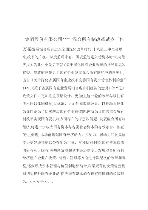 某公司混合所有制改革试点工作方案