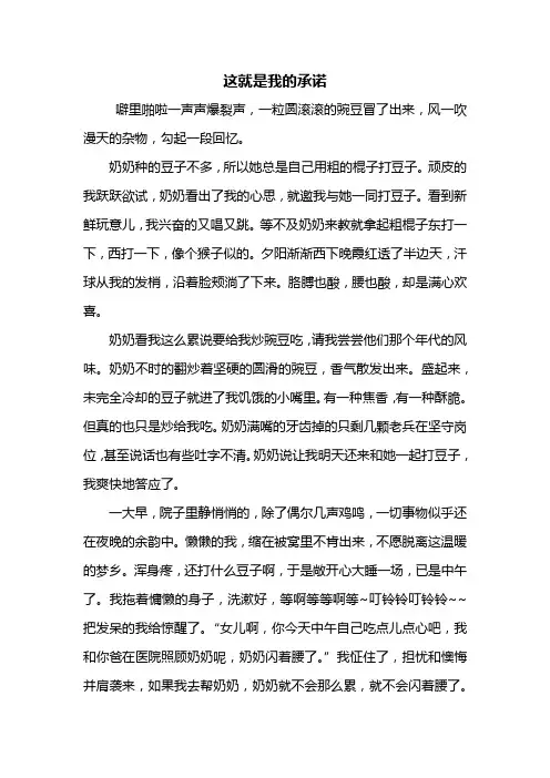 初三作文：这就是我的承诺作文600字