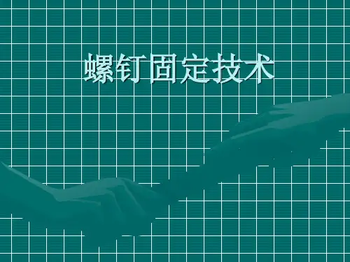 AO螺钉
