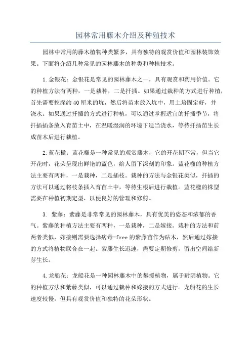 园林常用藤木介绍及种殖技术