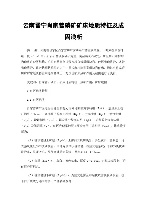 云南晋宁肖家营磷矿矿床地质特征及成因浅析