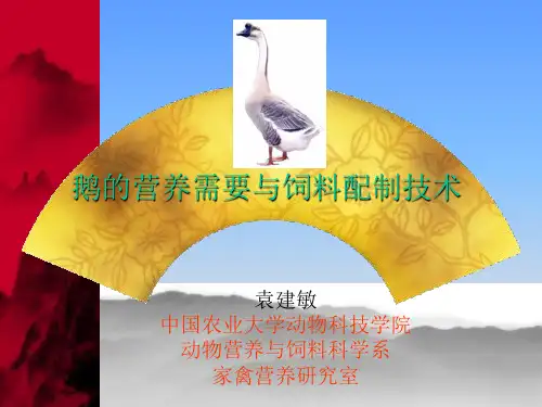 鹅的饲料配制技术
