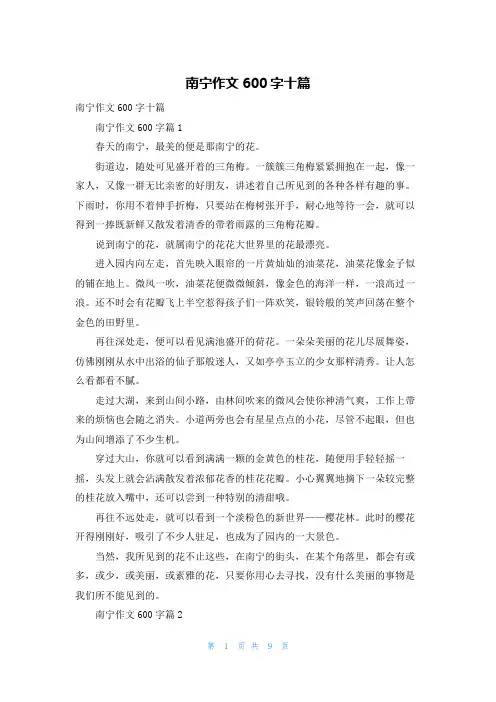 南宁作文600字十篇