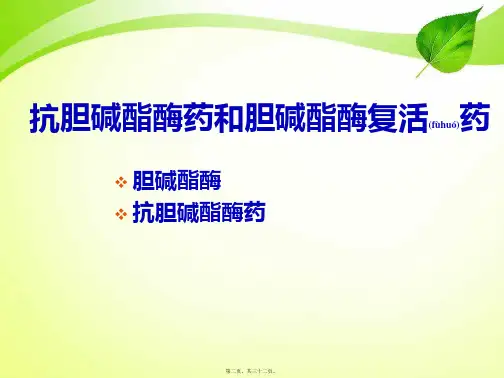202X年抗胆碱酯酶药及胆碱酶复活