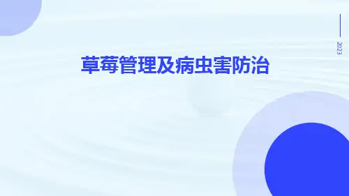 草莓管理及病虫害防治