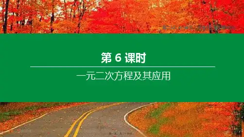 中考数学复习 第二单元 方程(组)与不等式(组)第06课时 一元二次方程及其应用课件