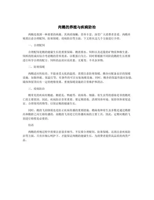 肉鹅的养殖与疾病防治